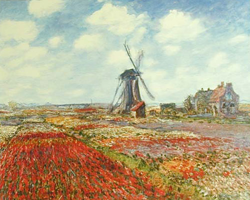 * Tulips in Holland   (on Canvas)
