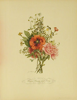 *Pansies,Poppies and Peony  No 6