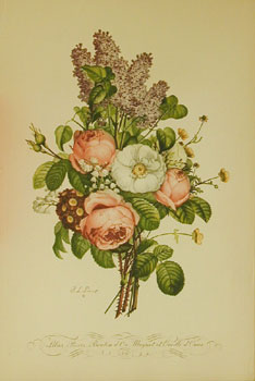 *Lilas, Roses, Bouton d'or, Muguet et Oreille d'Ours No 4