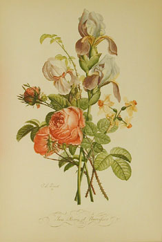 *Iris, Roses et Narcisses  No 6
