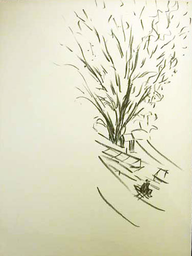 Bauer. Instants et Visages de Paris