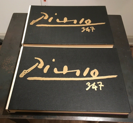 Picasso 347 in 2 Volumes